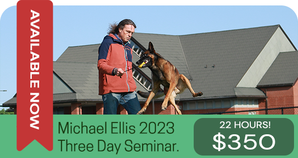Available Now. Michael Ellis Three Day seminar