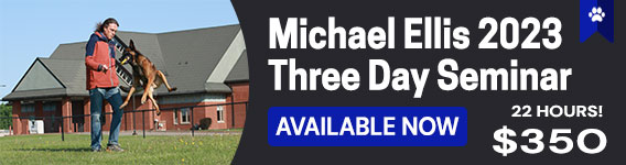 New Course: Michael Ellis Three Day seminar