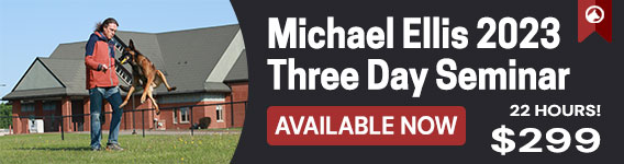 New Course: Michael Ellis Three Day seminar