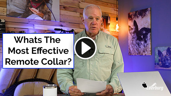Video: What Is The Most Effective Remote Collar?