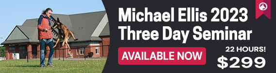 Michael Ellis Three Day Seminar - Online Course