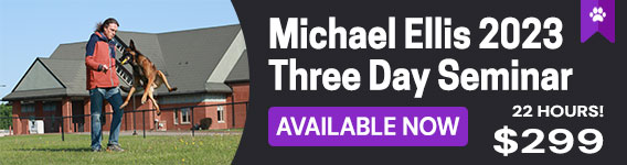 New Course: Michael Ellis Three Day Seminar - Online Course