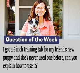 Featured QA: I got a 6 inch training tab for my friend's new puppy and she's never used one before, can you explain how to use it?