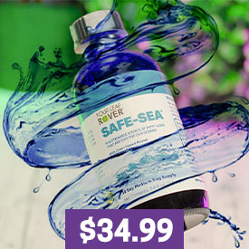 Sea Safe - Green Lipped Mussel Oil