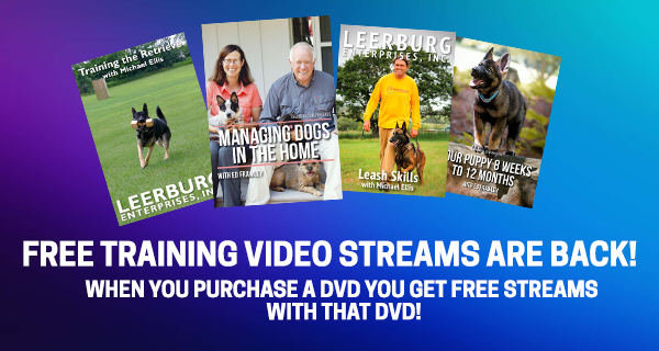 Free training video streams are back! Purchase a DVD and get free streams!