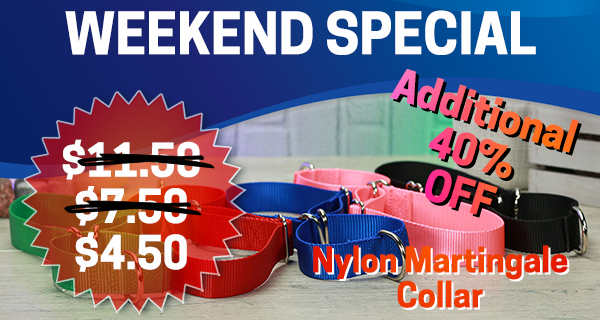 Weekend Special, Additional 40% off. Nylon Martingale Collars.