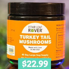 Turkey Tail - Organic Mushroom Extract