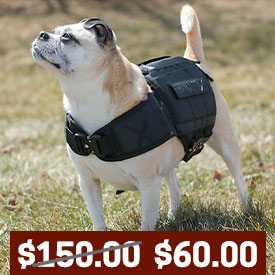 XDog Weighted Vest