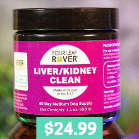 Liver and Kidney Clean