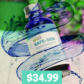 Sea Safe - Green Lipped Mussel Oil