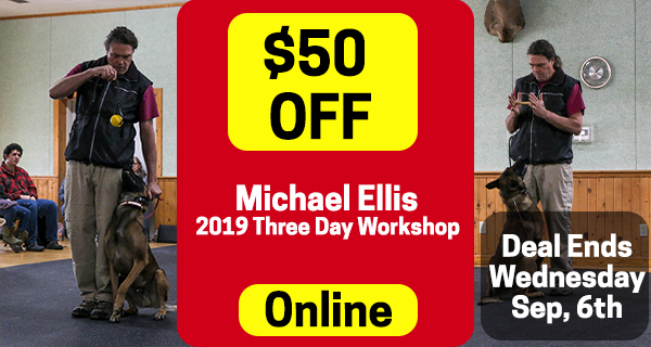 $50.00 off the December 2019 Michael Ellis Three Day Workshop