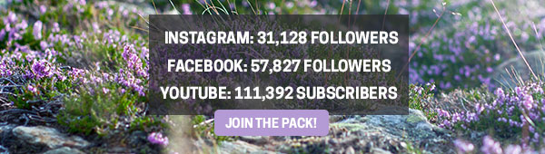 We have over 180,000 followers. Join the pack!