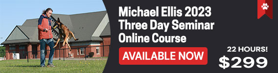 New Course: Michael Ellis Three Day Seminar - Online Course