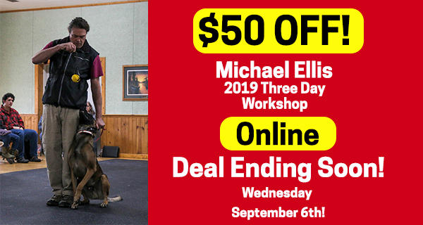 $50.00 off the December 2019 Michael Ellis Three Day Workshop Last Chance!