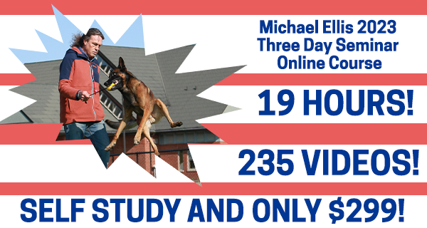 Michael Ellis 2023 three day Seminar online course
