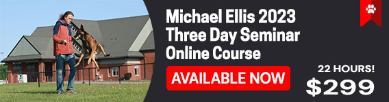 Michael Ellis Three Day Seminar - Online Course