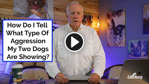 Video: HHow Do I Tell What Type Of Aggression My Two Dogs Are Showing?