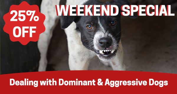 25% off on Dealing with Dominant & Aggressive Dogs online course