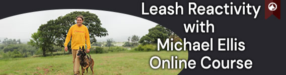 Leash Reactivity with Michael Ellis - Online Course