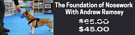 The Foundation of Nosework with Andrew Ramsey - Online Course