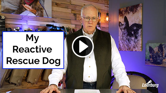 Video: My Reactive Rescue Dog
