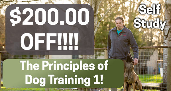 $200 off Principles of Dog Training 1 - Self Study