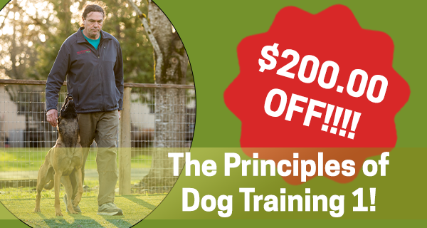 $200 off Principles of Dog Training 1 - Self Study