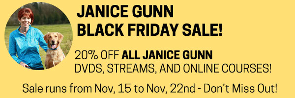 Janice Gunn 20% off Black friday Sale. Nov, 15th to Nov, 25th.
