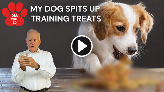 Video: MY DOG SPITS UP TRAINING TREATS