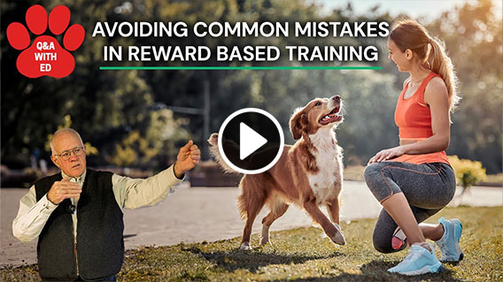 Video: Puppy Paws And Pitfalls: Avoiding Common Mistakes In Reward Based Training