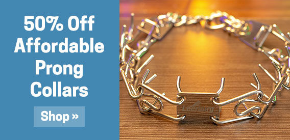 50% Off Affordable Prong Collars