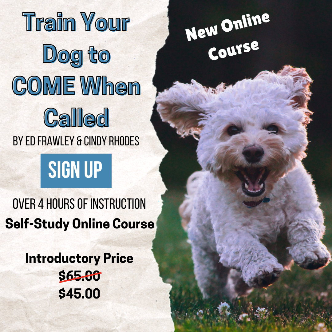 $20 Off Training Your Dog to Come When Called