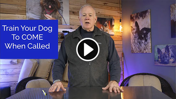 Video: Ed Frawley's New Online Course: Training Your Dog To Come When Called