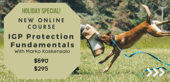 50% Off Protection Fundamentals