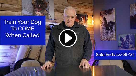 Video: Ed Frawley's New Online Course: Training Your Dog To Come When Called
