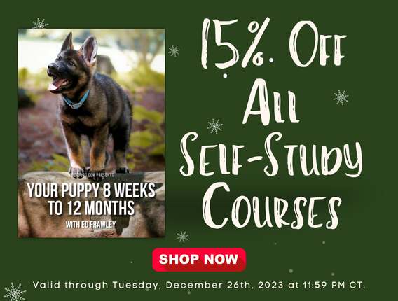 15% Off All Self-Study Courses