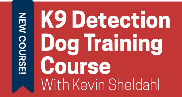 K9 Detection Dog Training Course with Kevin Sheldahl