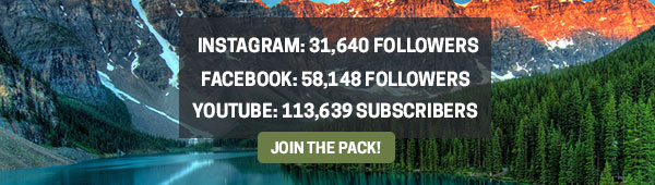 We have over 180,000 followers. Join the pack!