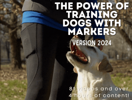 Understanding The Power of Training Dogs With Markers. New Online Course!