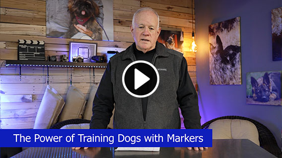 Video: The Power of Training Dogs With Markers - Version 2024