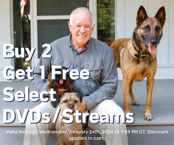 Buy 2 Get 1 DVD/Stream