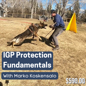 IGP Protection Fundamentals