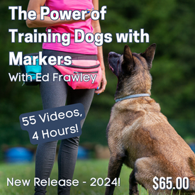 The Power of Training Dogs with Markers