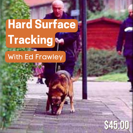 Hard Surface Tracking