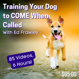 Training Your Dog to Come When Called
