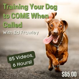 Train Your Dog to Come When Called Every Time