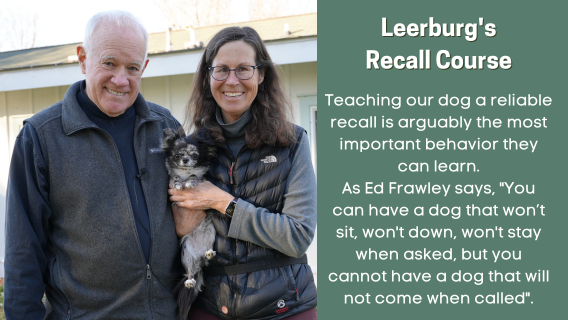 Leerburg's Recall Course