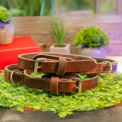 1 inch Leather Collar with Handle