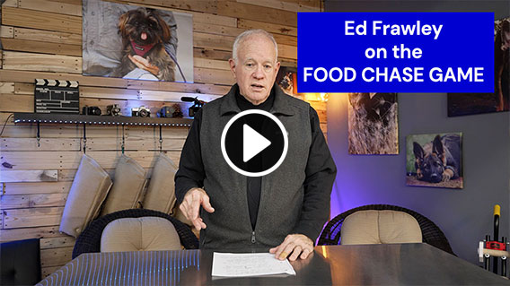 Ed Frawley on the FOOD CHASE GAME