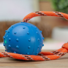 Leerburg's Rubber Ball with Nylon Handle